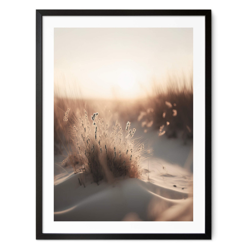 Plakat Treechild - Zachód słońca nad wydmami