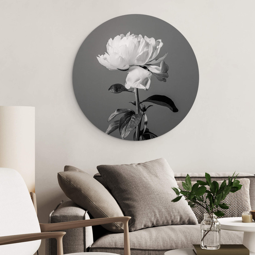 Tableau sur alu-Dibond rond 1X Studio - Pivoine noir et blanc