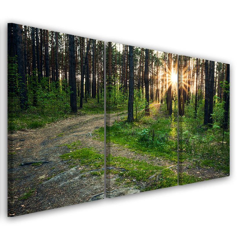 3 stykke lærredstryk, skovnaturvejlandskab