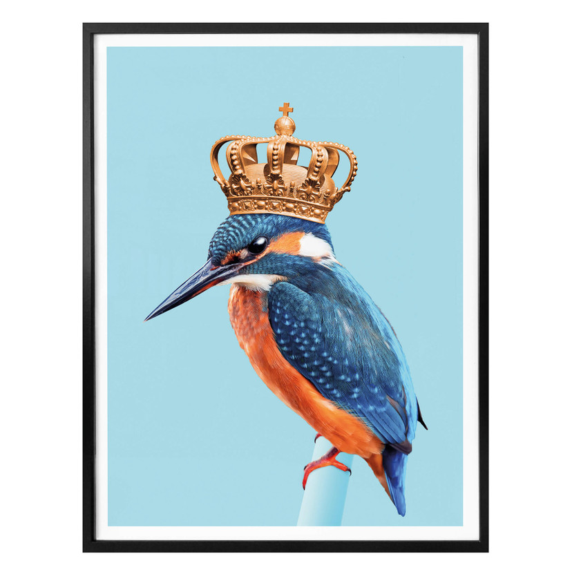 Plakat Loose - Kingfisher