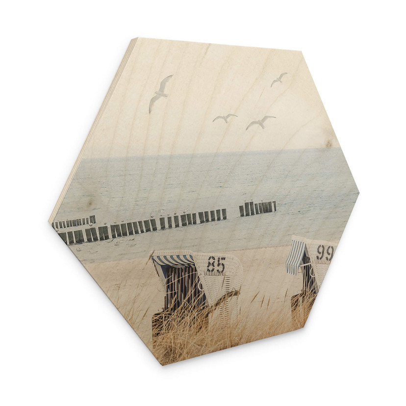 Hexagone - Bois La magie de la côte le long de dunes sauvages