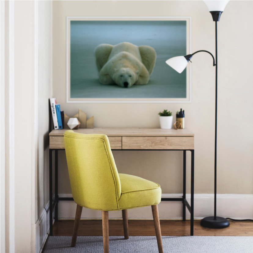 Poster autocollant - W - NG Ours Polaire Endormi