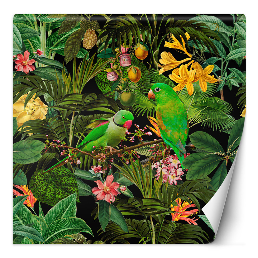 Fototapete, Grüne Blätter Tropische Vögel Monstera Palmen - Andrea Haase