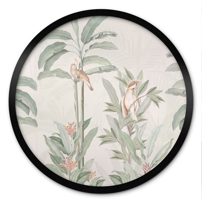 Poster Forêt tropicale avec cacatoès - Bloomery Decor - Rond