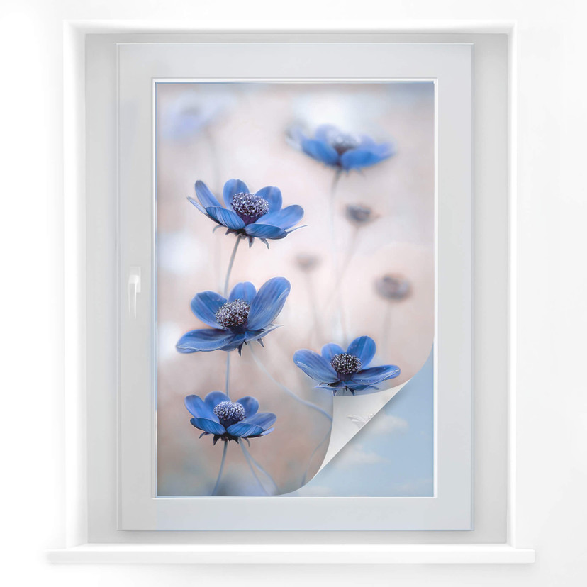 Folia do ochrony prywatności Disher - Blue Cosmos