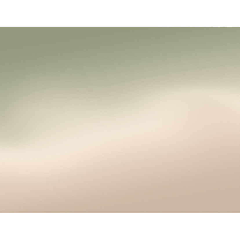 Fototapeta Ombre - Leśna mgła