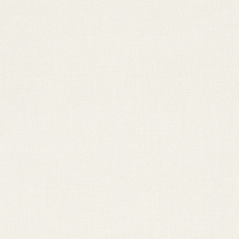Rasch Vliesbehang Wallpaper