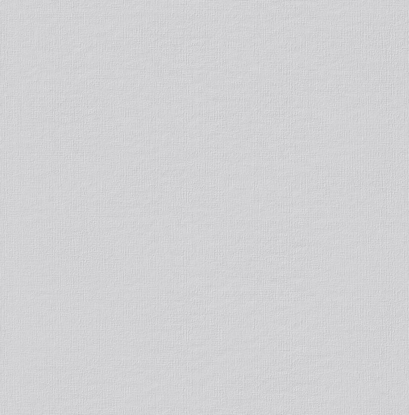 Erfurt non-woven tapet Basic 101