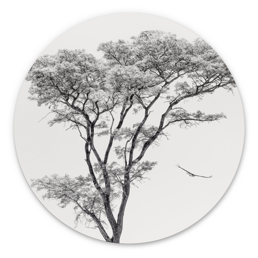 Wandbild Minimalistischer Baum in ruhiger Landschaft - Flour - Alu-Dibond Rund