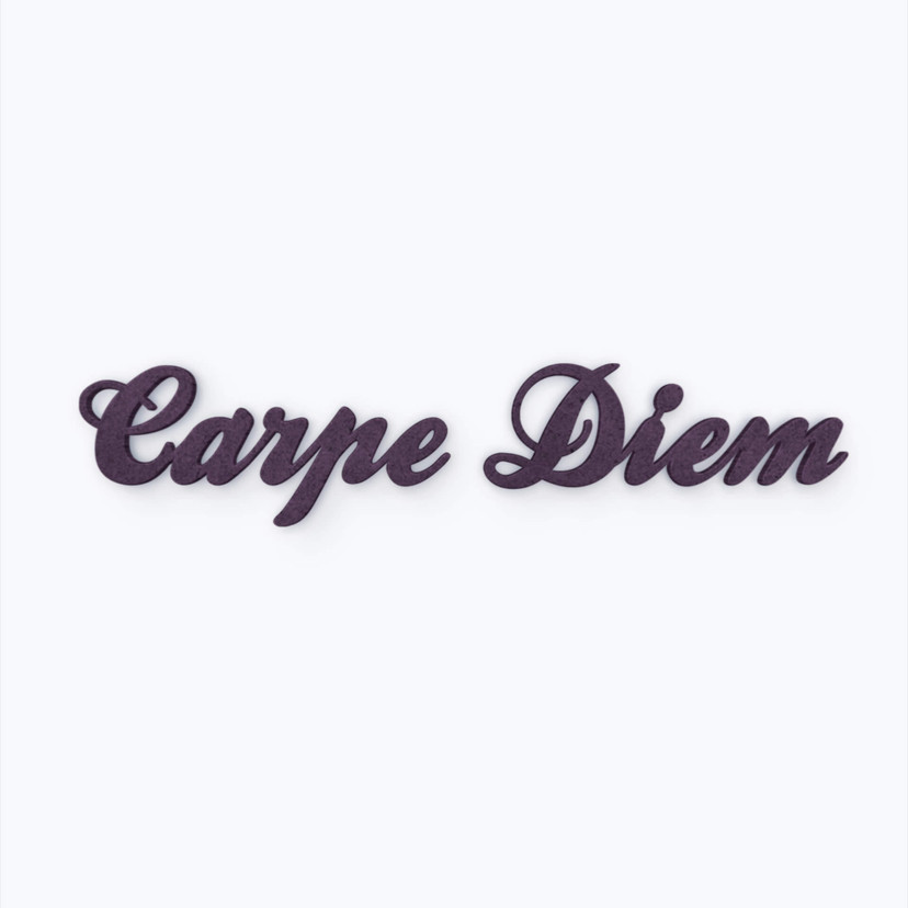 Lettres en bois MDF Carpe Diem