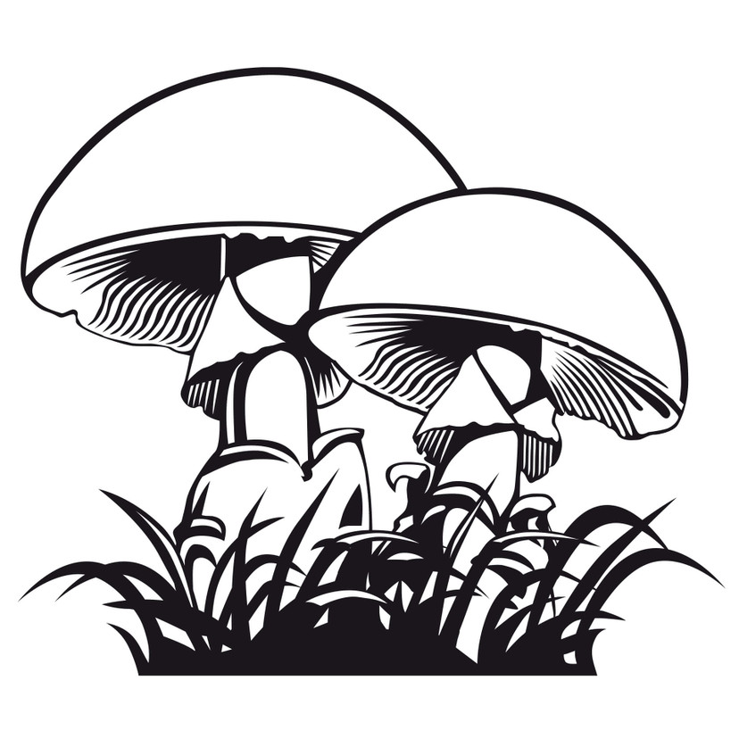 Wallsticker Champignon