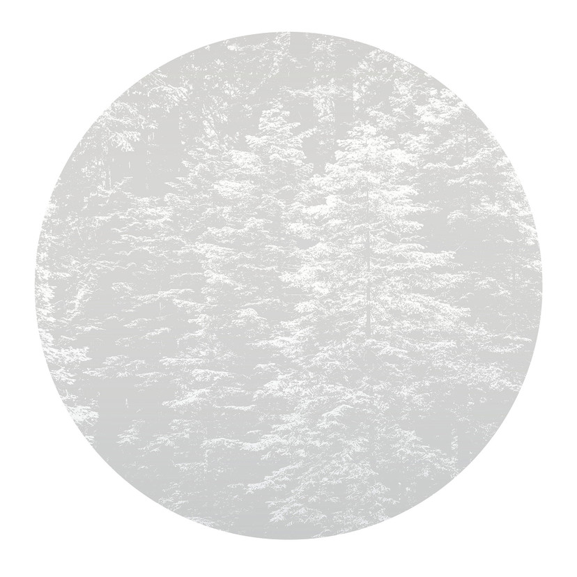 Tapeta cyfrowa Hazy Pines w formacie 1,4 m x 1,4 m Fashion for Walls 4 autorstwa Guido Maria Kretsch