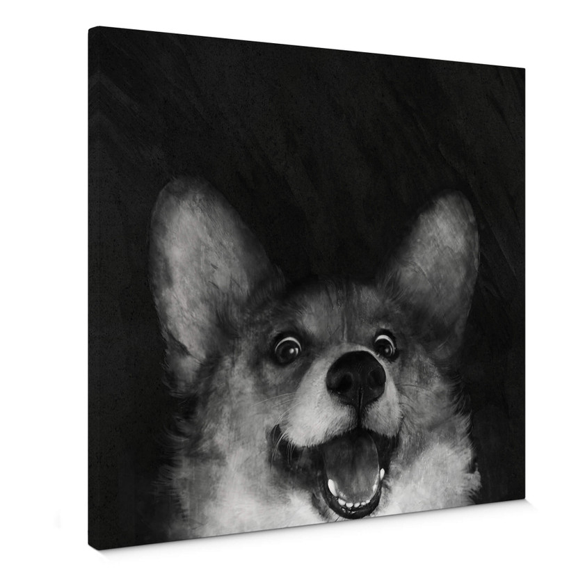 Obraz na płótnie Graves - Sausage Fox Corgi