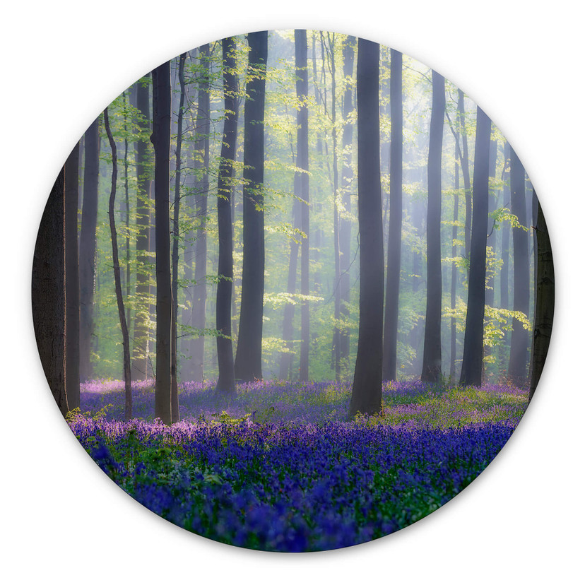 Alu-Dibond Popan - Glockenblumen - Rund