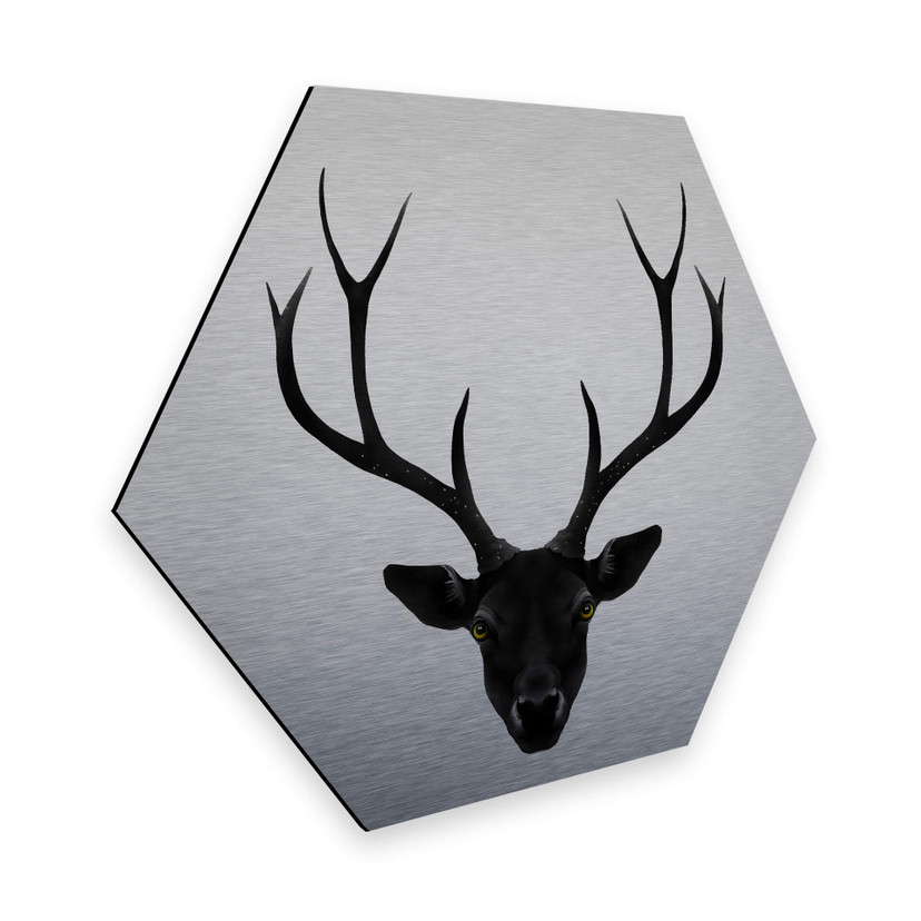 Hexagone - alu-Dibond - Effet argenté - Ireland - Cerf noir