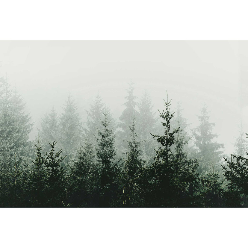 Livingwalls papier peint photo ARTist Mountain Forest