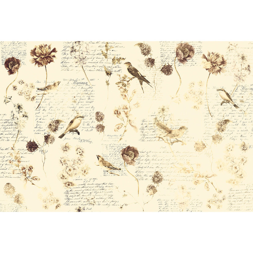 Architects Paper Papier peint photo Atelier 47 Bird Poetry motif animalier