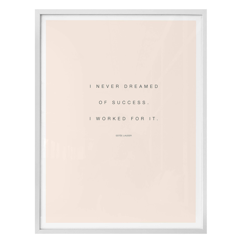 Poster - I never dreamed of Succes