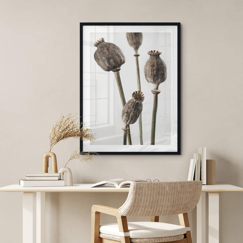 Plakat 1X Studio - Suszone główki maku