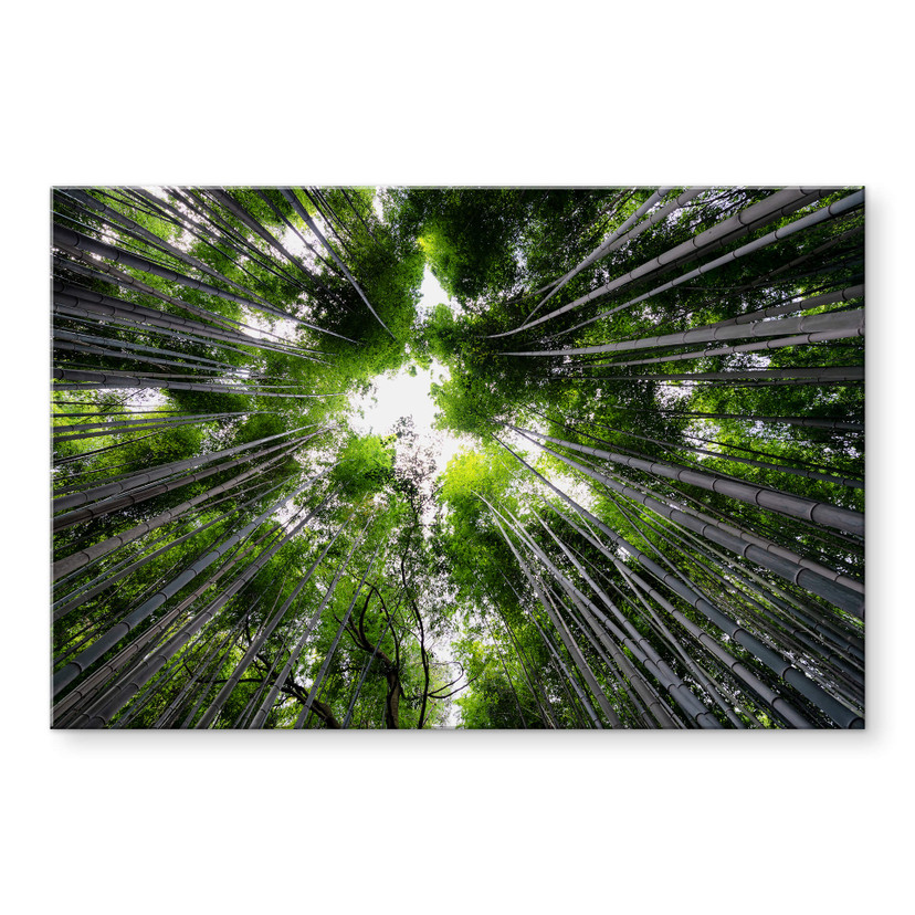Akrylbillede Hugonnard - Skov i Japan