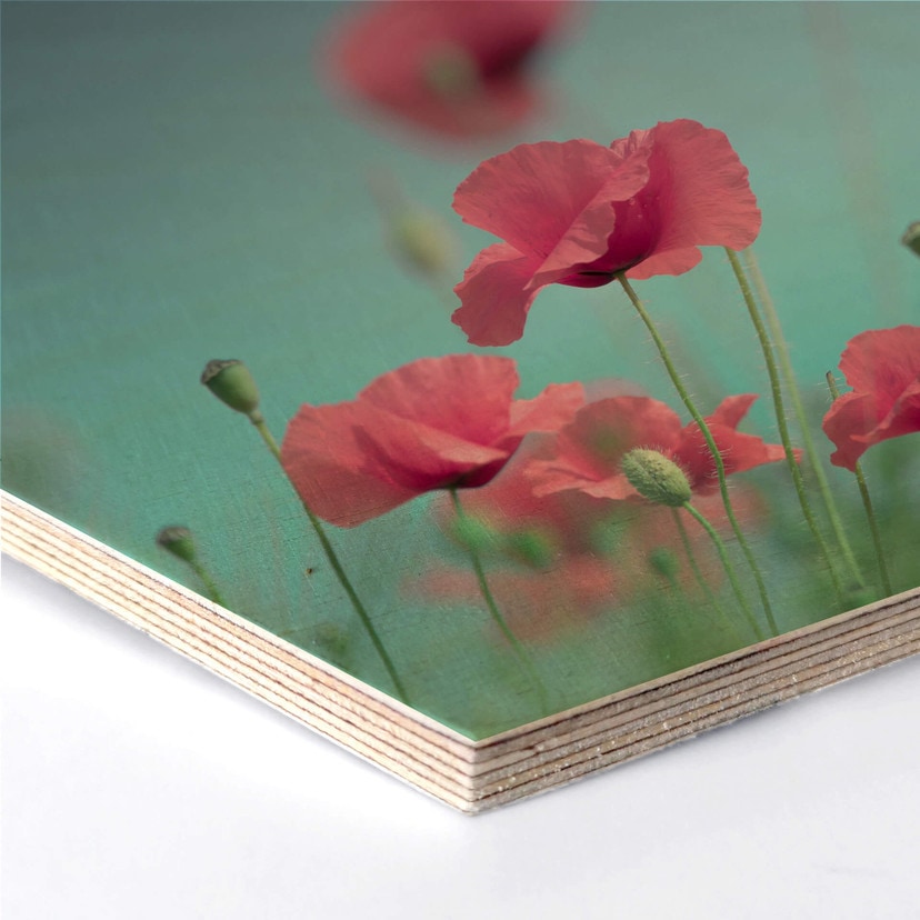 Hexagone - Placage bois de bouleau Delgado - Pastel de coquelicots