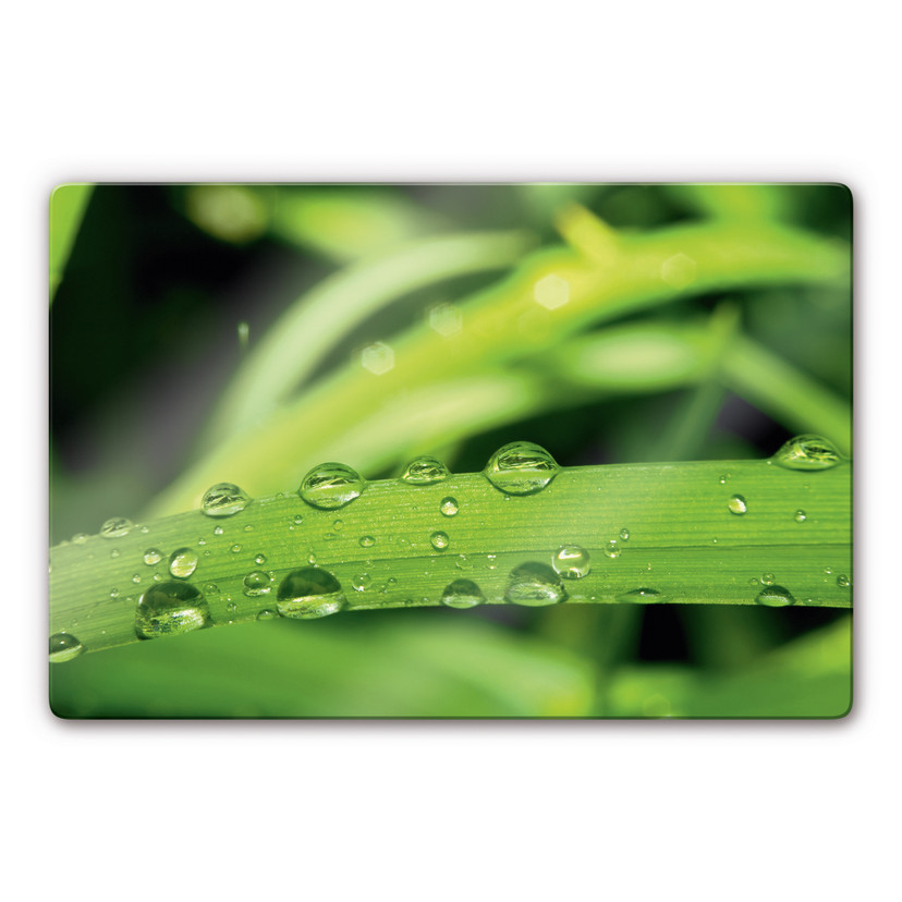 Glasbillede - Natur 5