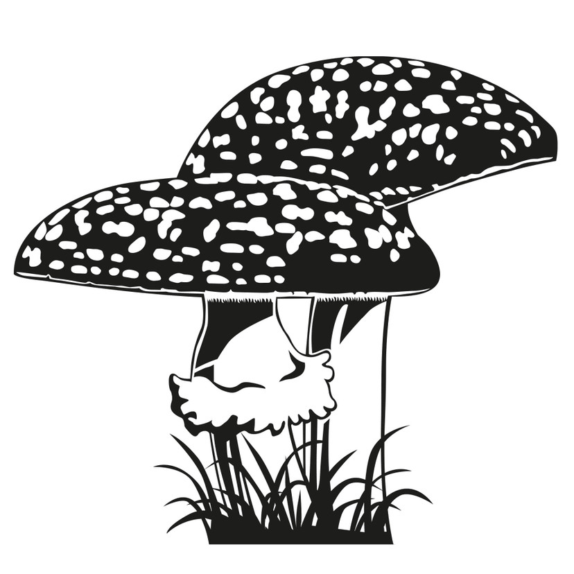 Wallsticker Rød Fluesvamp