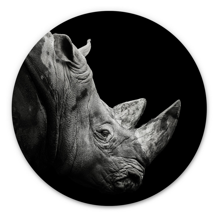 Hexagone - alu-Dibond Meermann - Le rhinocéros - Rond