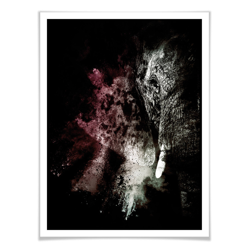 Plakat Hugonnard - Wild Explosion: Elephant 02