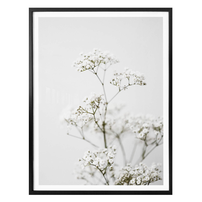 Plakat Annie - trybula łąkowa