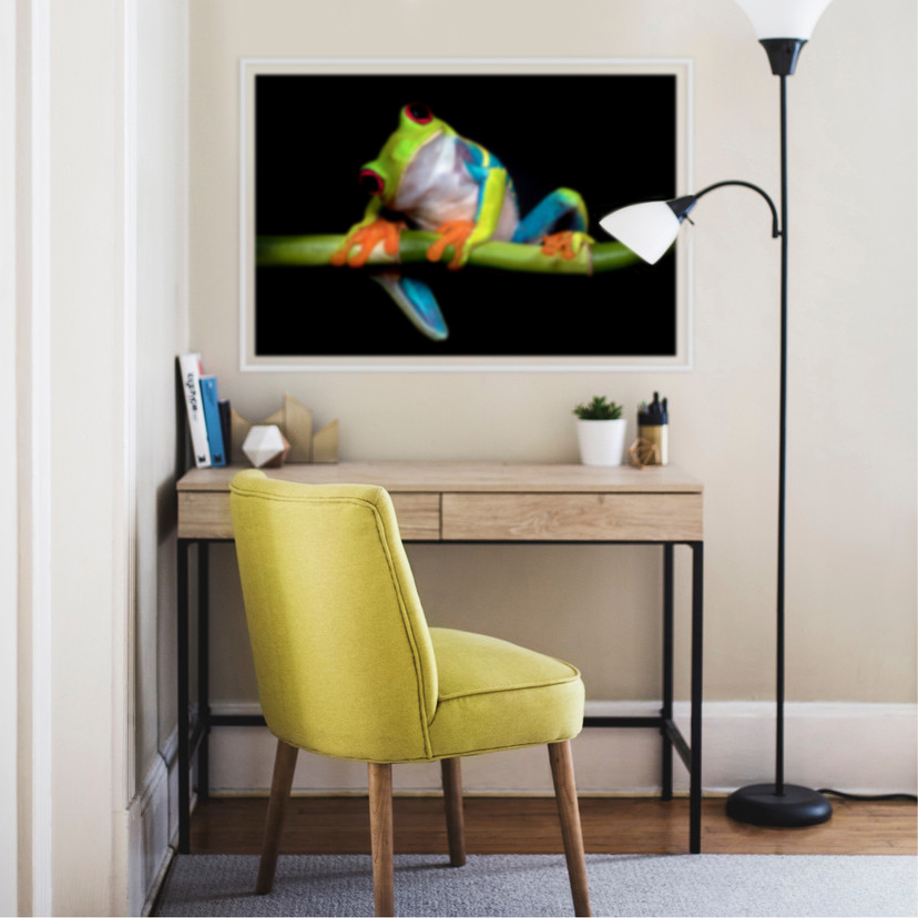 Zelfklevende Poster Valverde - Green Frog