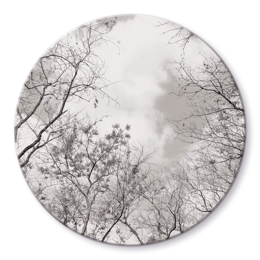 Tableau en verre Cimes des arbes dans le ciel - Rond