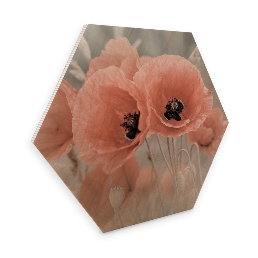 Hexagon Berkenfineer - Delgado - Floral Snake