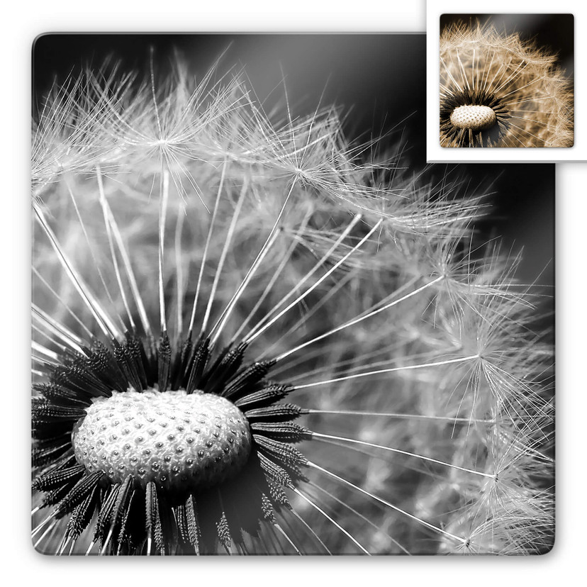 Tableau en verre - Dandelion