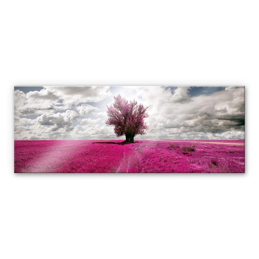 Akrylbillede Det ensomme træ - Panorama