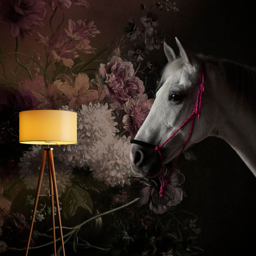 Fototapeta Livingwalls Walls by Patel horses 1