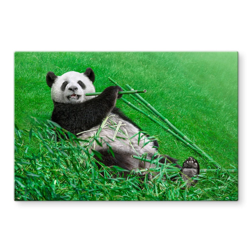 Stænkplade - Ben Heine - Lykkelig Panda