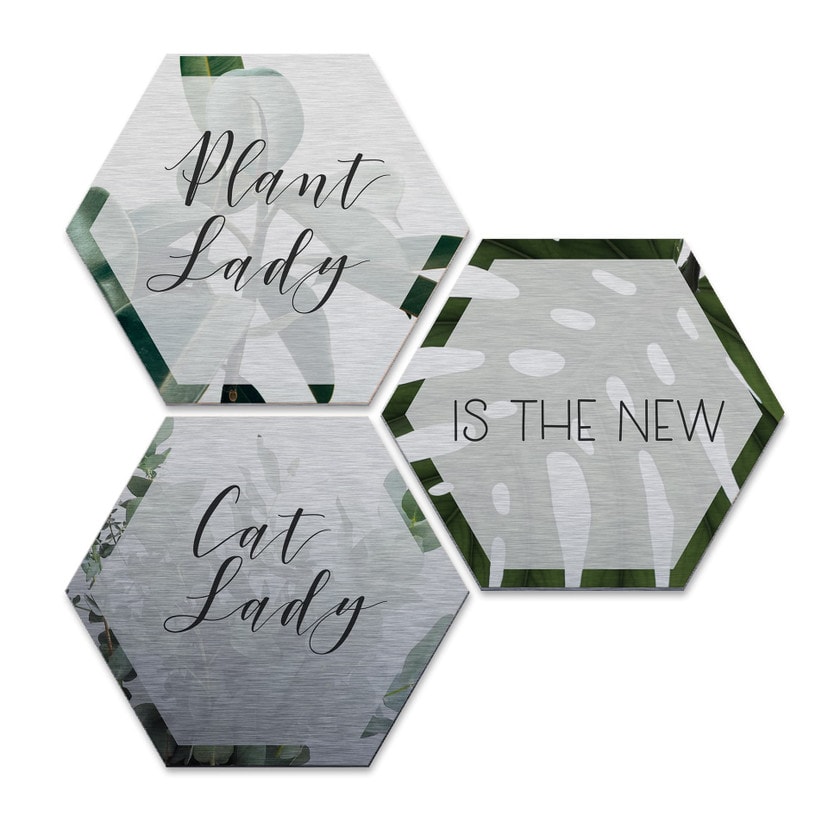 Hexagone - Alu-Dibond-Effet argenté - Plantlady is the new Catlady (Set de 3)
