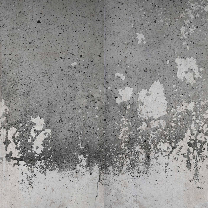 Papier peint PaintedWall aspect béton en gris noir - Papier peint intissé Designwalls 2 - 2,55 x 3,5