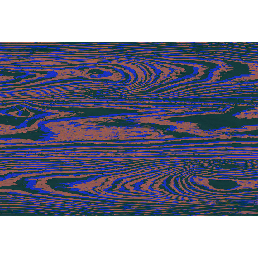Fotomural Paredes de Patel 3 Kontiki 3 azul, marrón, verde