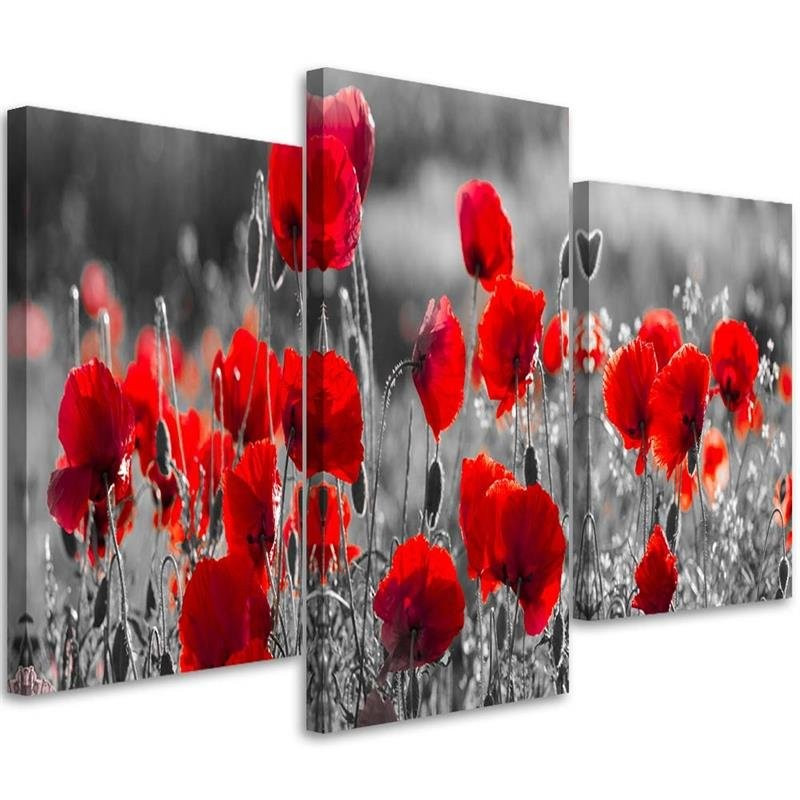 3 stykke lærredstryk, røde valmuer planter