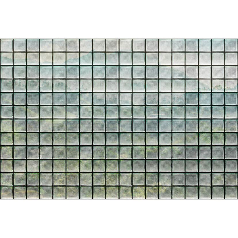Fototapeta Livingwalls Walls by Patel 3 Greenhouse 3 zielony, szary, czarny, biały