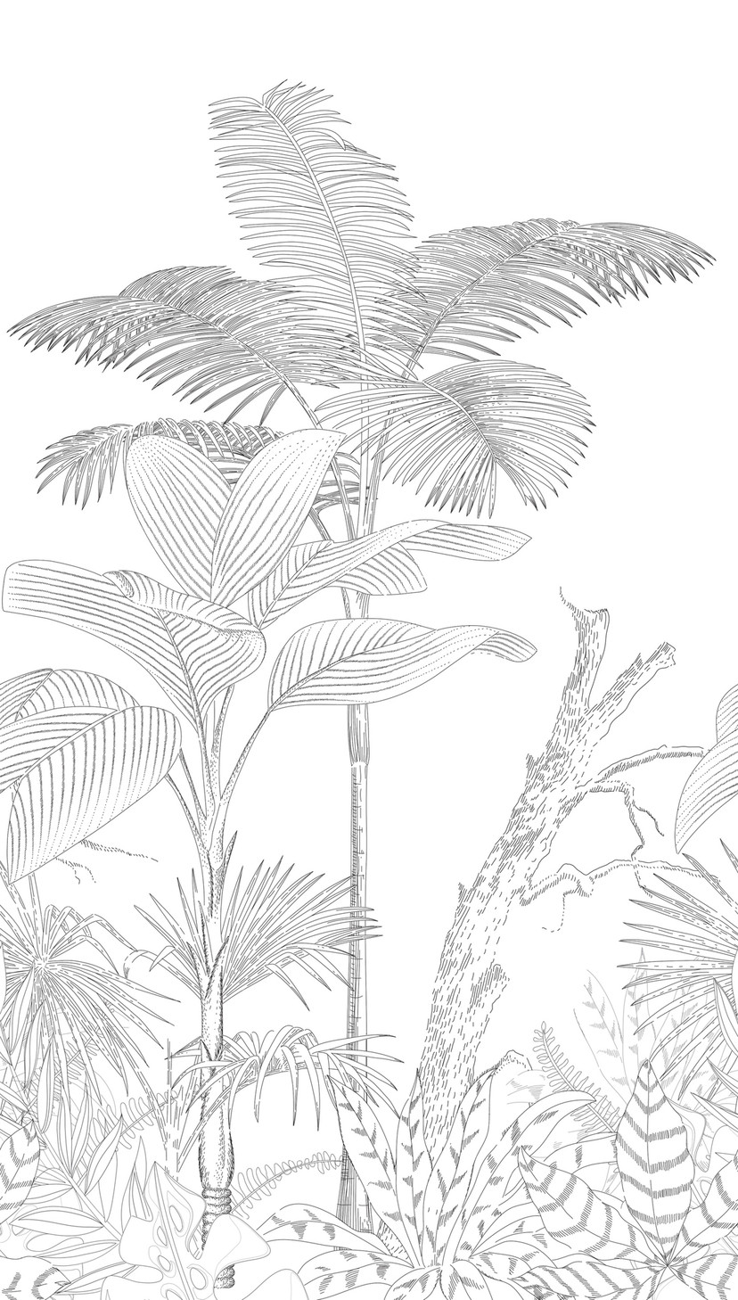 Fototapeta dżungla czarna biała - włókninowa tapeta botaniczna Livingwalls - matowa i gładka