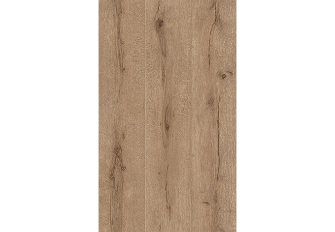 Rasch Holzoptik Vliestapete Black Forest 2016 Holz braun