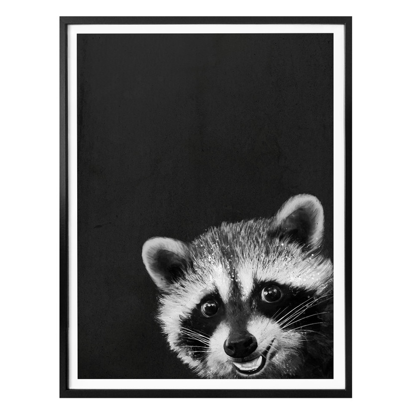 Plakat Graves - Racoon