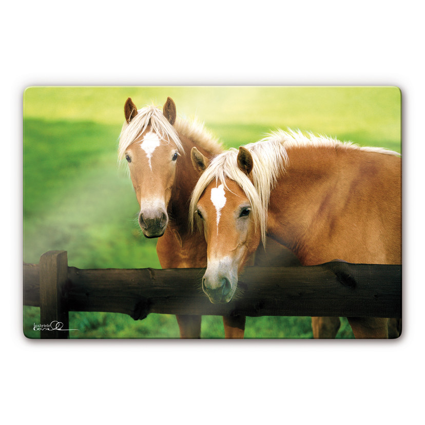 Tableau en verre - Boiselle - Jeunes juments haflinger curieuses