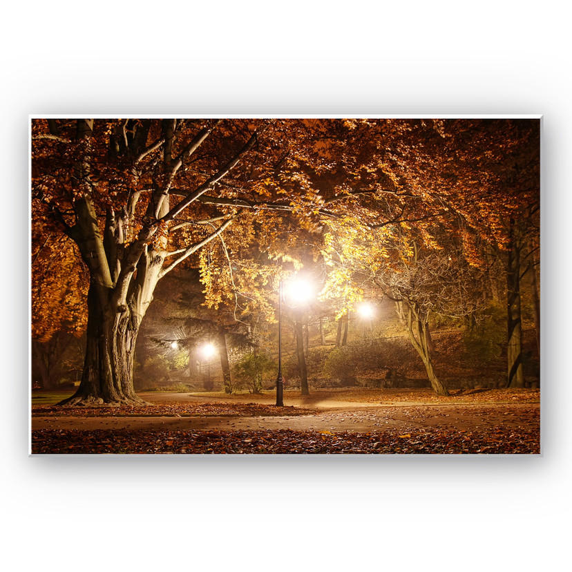 Tableau Forex - Automne au parc