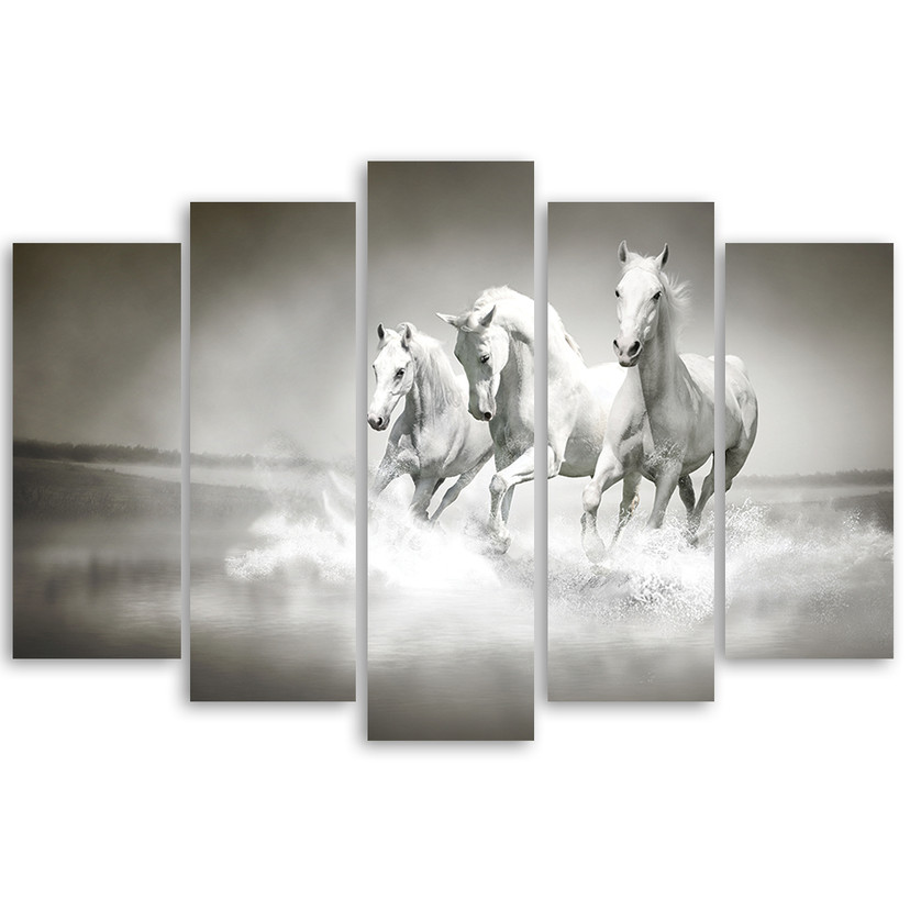 5 stykke lærredsprint, hvide heste galop