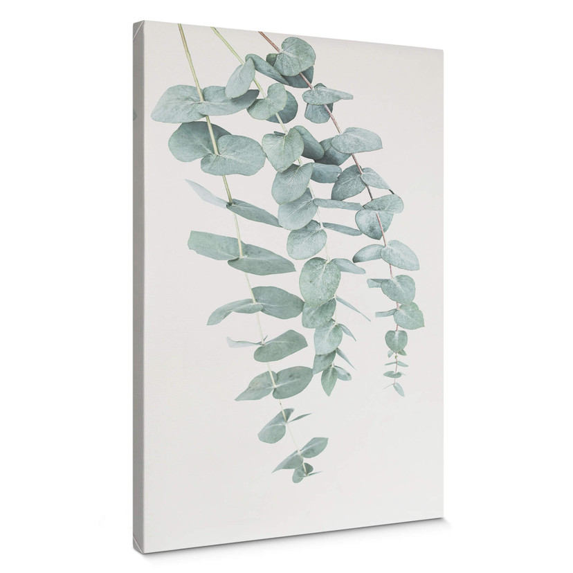 Canvasbillede - Sisi & Seb - Eukalyptus: flere grene