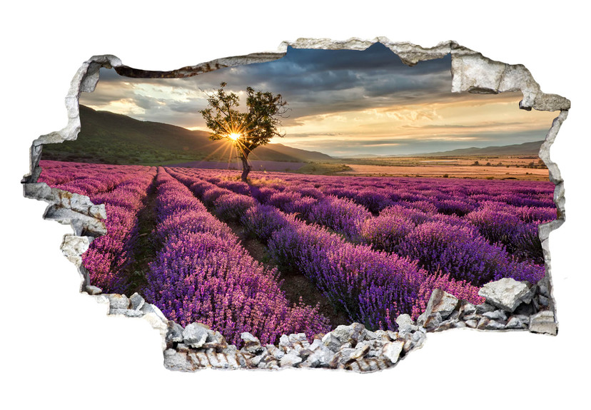 3D Wallsticker lavendelblomst i Provence